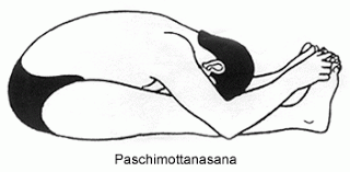 http://3.bp.blogspot.com/_r7bXaPC1TK8/STPdSEWpZWI/AAAAAAAAADA/eqPJqRpXoSk/s320/paschimottanasana.gif