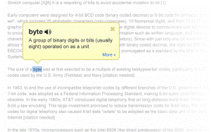http://compuhow.com/files/2013/01/google-dictionary-300x187.png